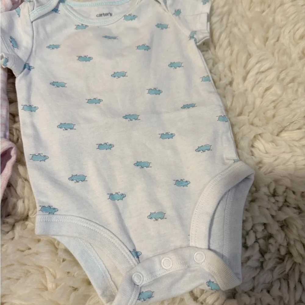 Carter's Pink and Blue Bodysuit Set